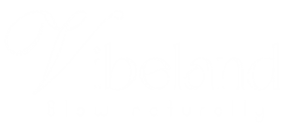 Vibeland Store